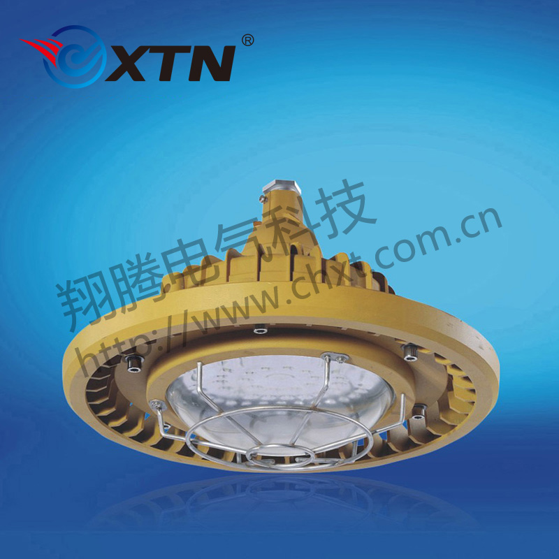 BAD8610防爆免維護(hù)節(jié)能燈(LED)