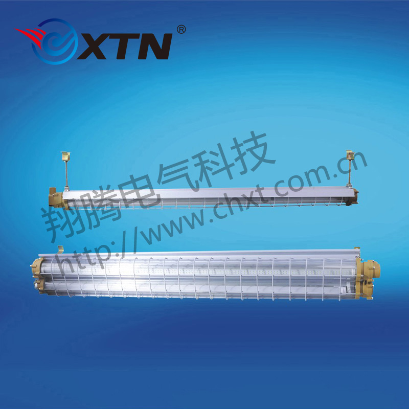 BAY51系列防爆高節(jié)能LED熒光燈(ⅡB、ⅡC)