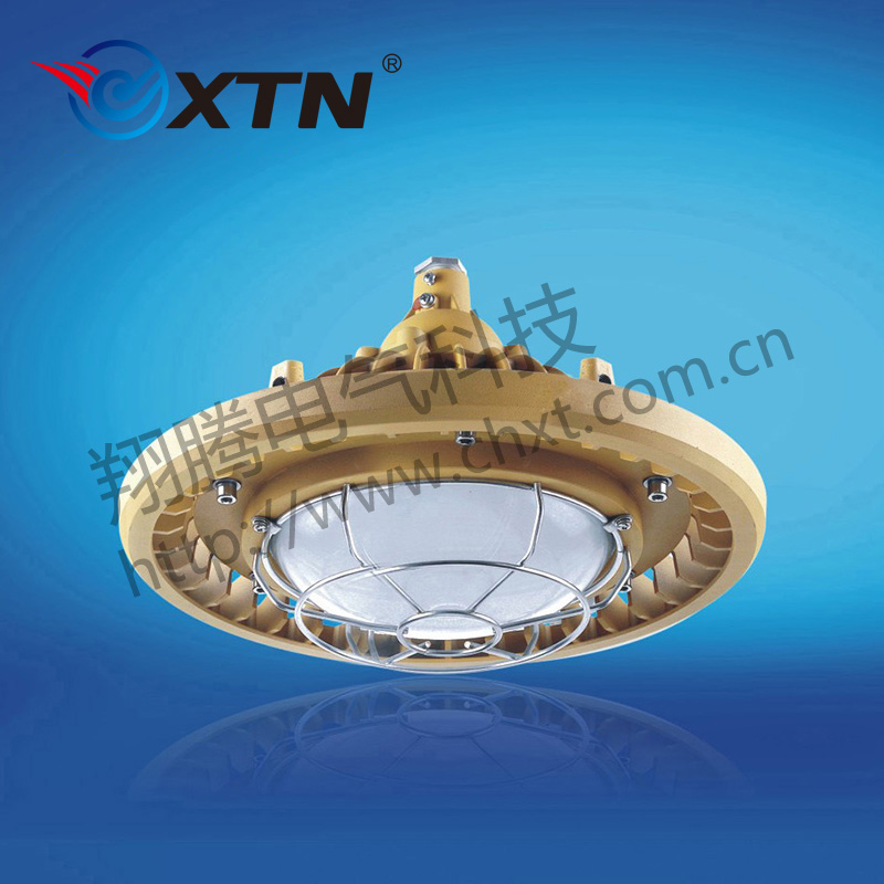 BAD8616防爆免維護(hù)節(jié)能燈(LED)