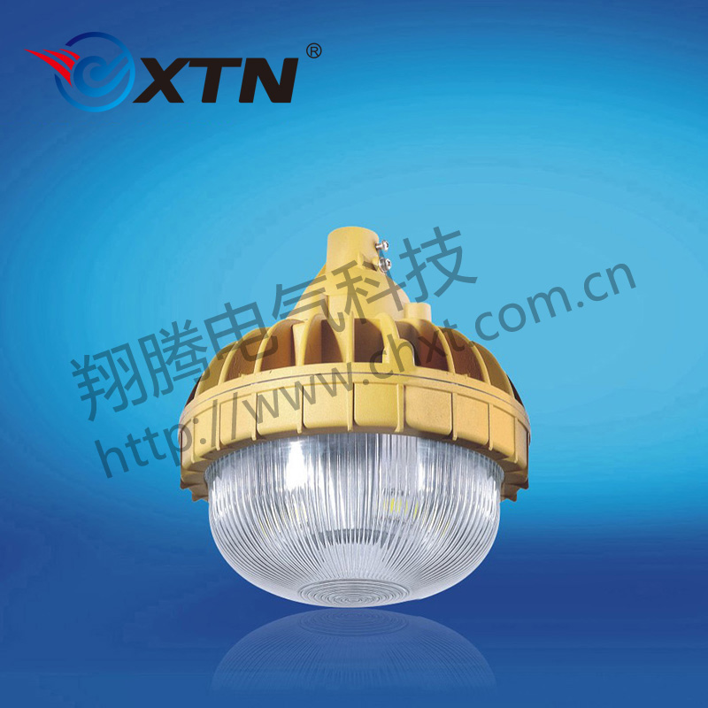 BAD8637防爆免維護(hù)節(jié)能燈(LED)