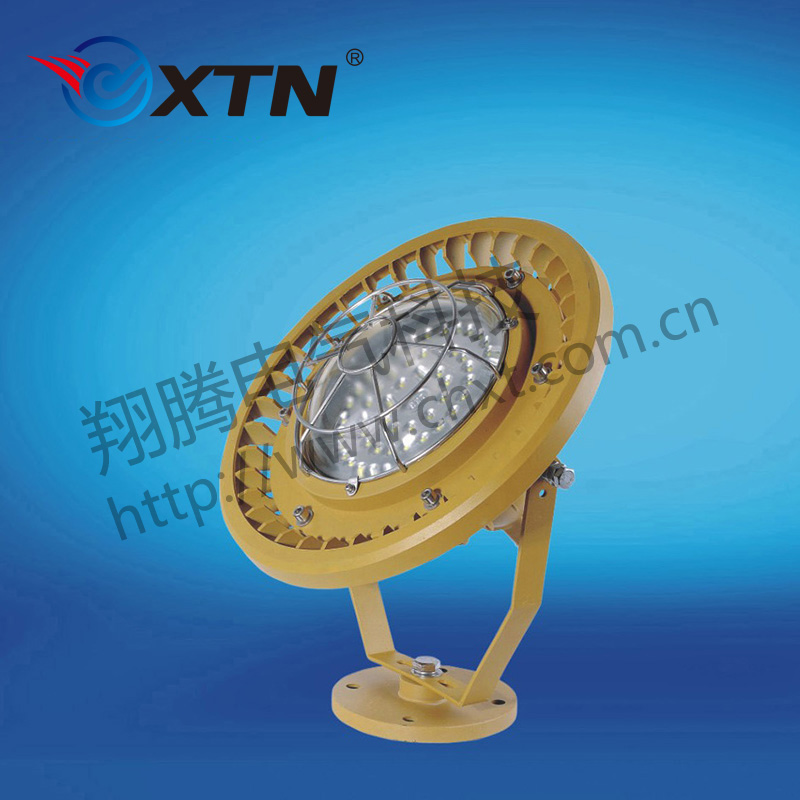BAD8619防爆免維護(hù)投光燈/泛光燈(LED)