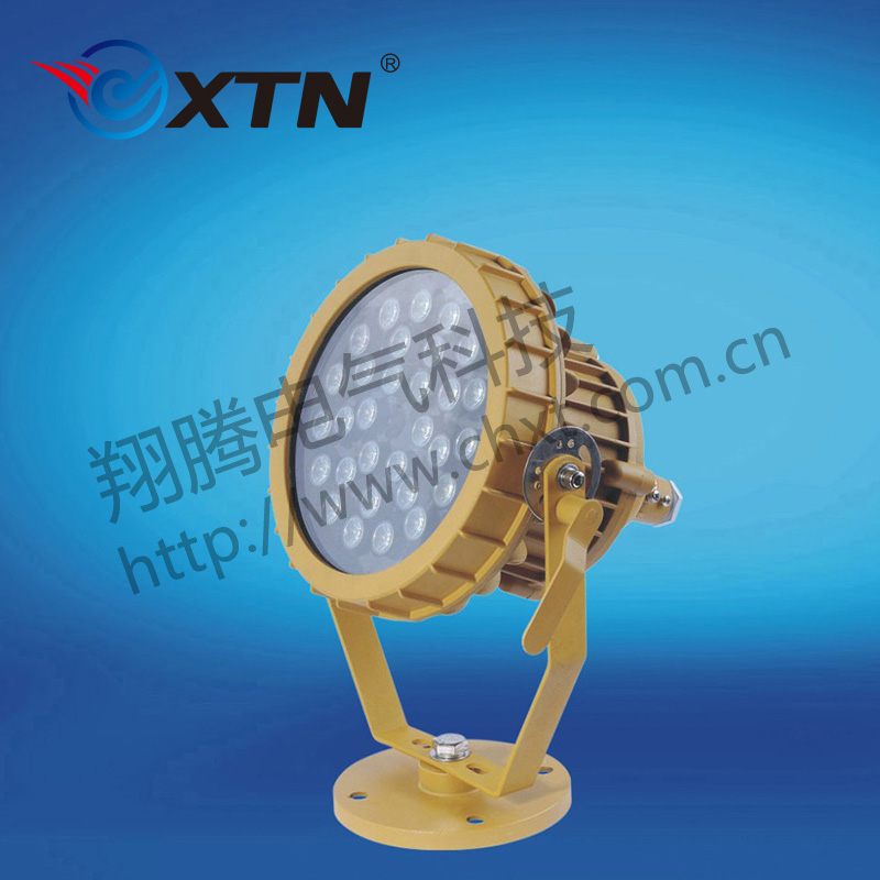 BAD8629防爆免維護(hù)投光燈/泛光燈(LED)