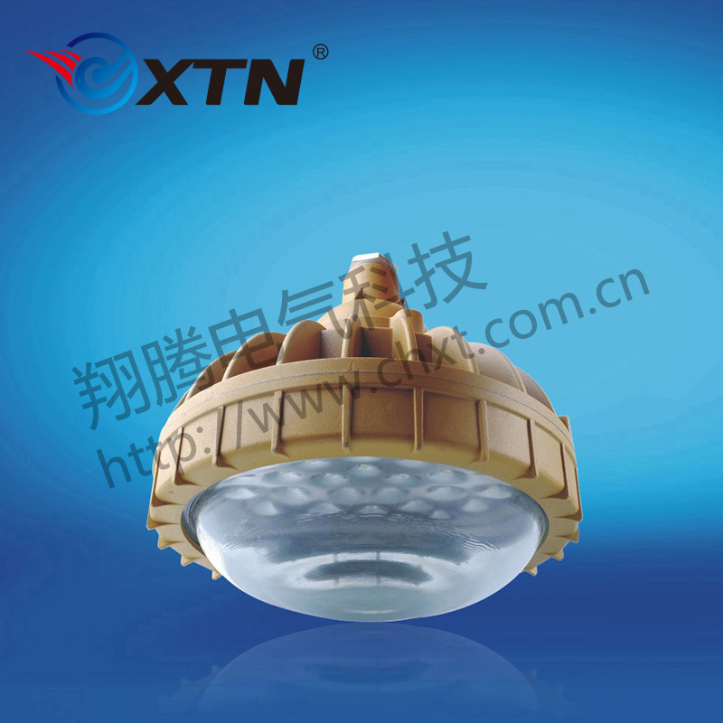 BAD8630防爆免維護(hù)節(jié)能燈(LED)